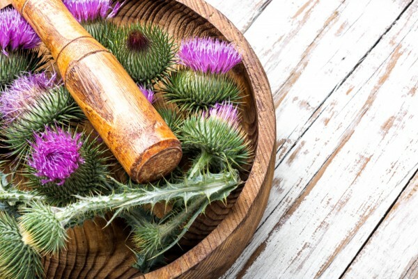 Primvara este bun pentru ficat, detoxifiere pentru organism